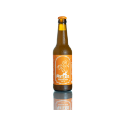 Mandarine Dream - Double NEIPA